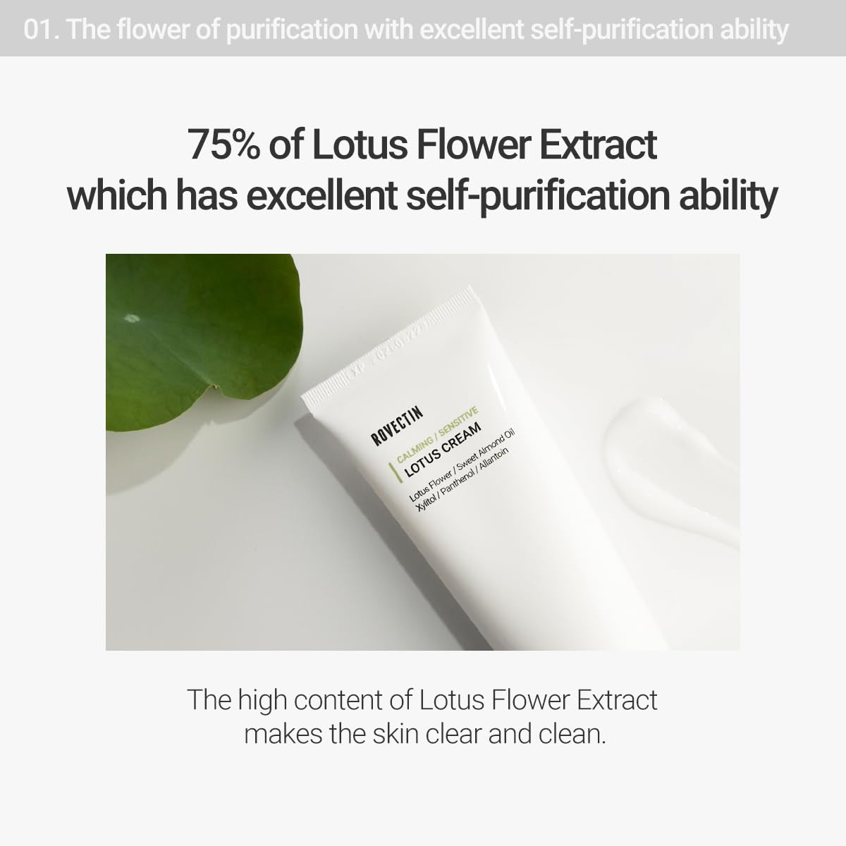 Calming Lotus Cream – Lightweight Hydrating & Soothing Moisturizer Face Cream for Sensitive Skin | 75% Lotus Water Extract & Niacinamide for Anti-Aging | Vegan Korean Skincare (2.03 Fl Oz)